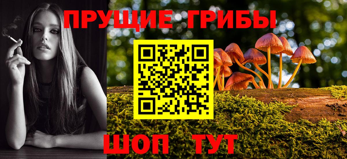 Галлюциногенные грибы ЛСД  наркотики  Вход с VPN  Дубна  Галлюциногенные грибы GOLDEN TEACHER 